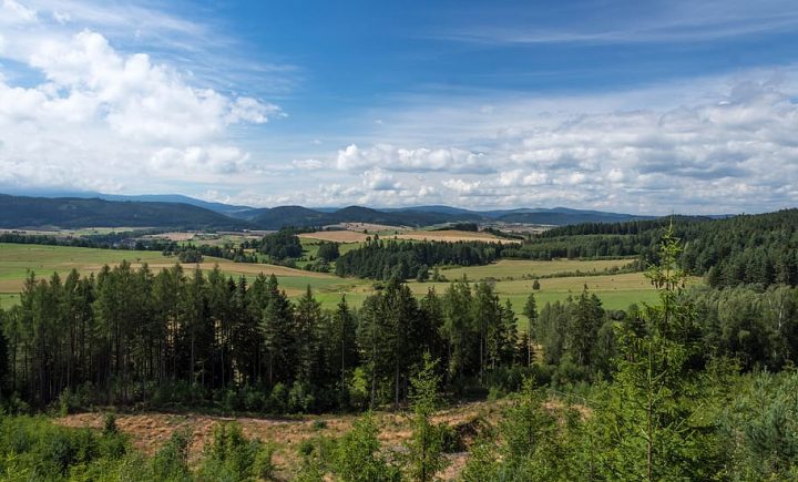 nature-sky-panoramic-landscape-tree-mountain