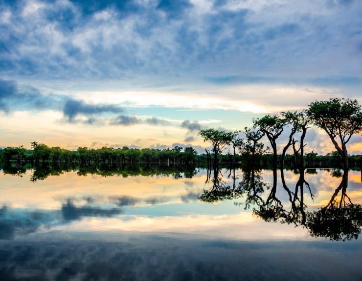 amazonia-1-1024×576